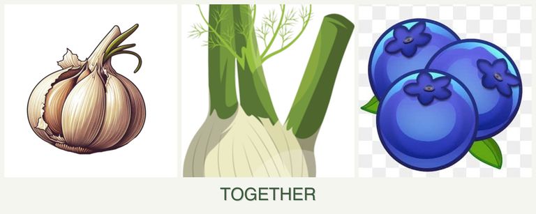 Can you plant garlic, fennel and blueberries together?