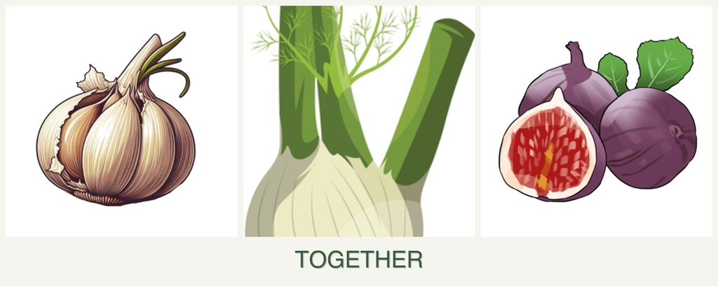 Can you plant garlic, fennel and figs together?