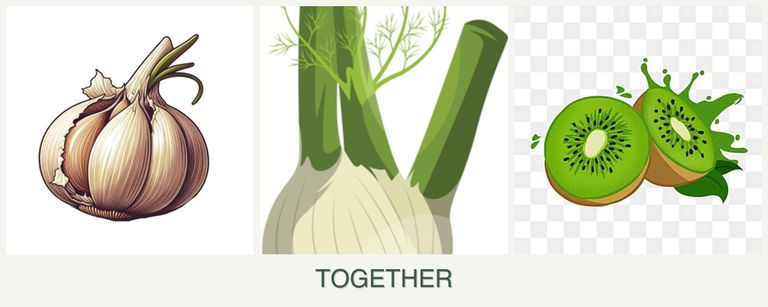 Can you plant garlic, fennel and kiwi together?