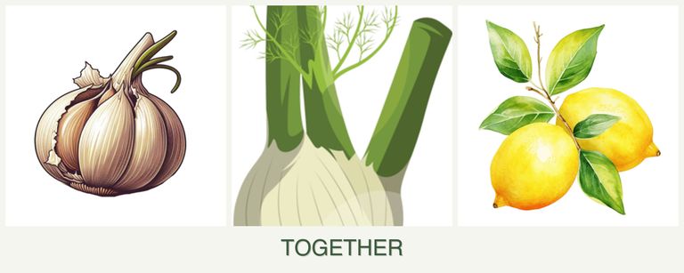 Can you plant garlic, fennel and lemons together?