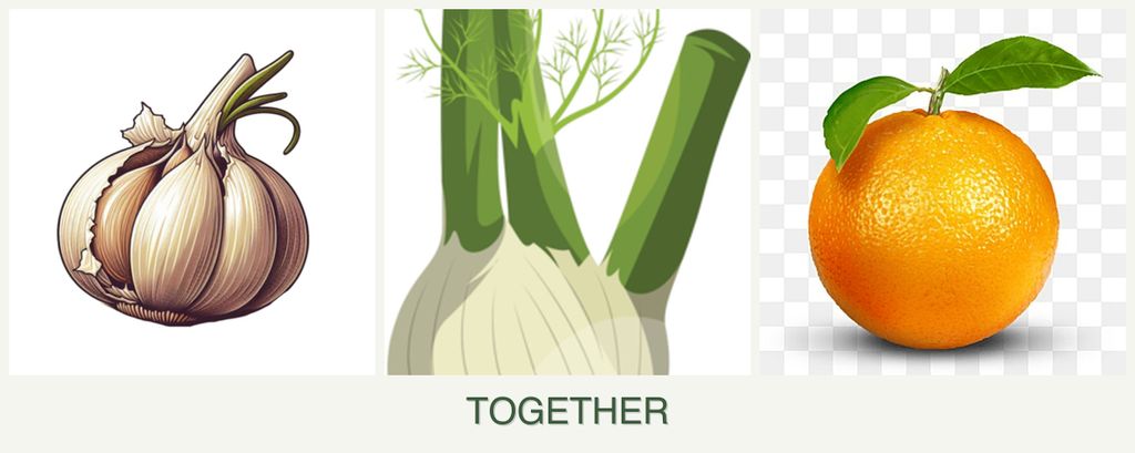 Can you plant garlic, fennel and oranges together?