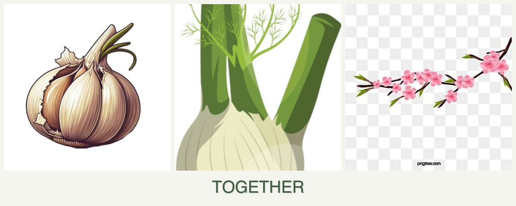Can you plant garlic, fennel and peaches together?