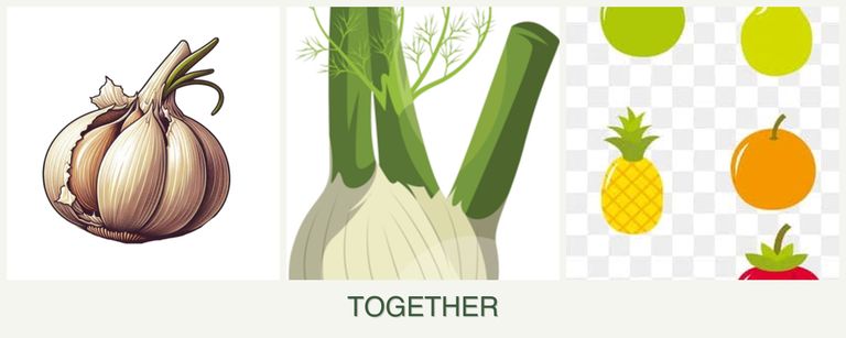 Can you plant garlic, fennel and pears together?