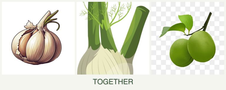 Can you plant garlic, fennel and plums together?