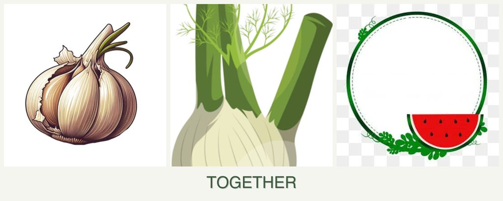 Can you plant garlic, fennel and watermelons together?