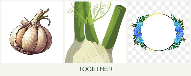 Can you plant garlic, fennel and zinnias together?