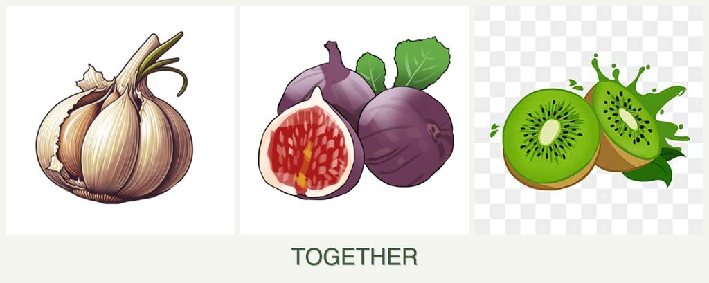 Can you plant garlic, figs and kiwi together?