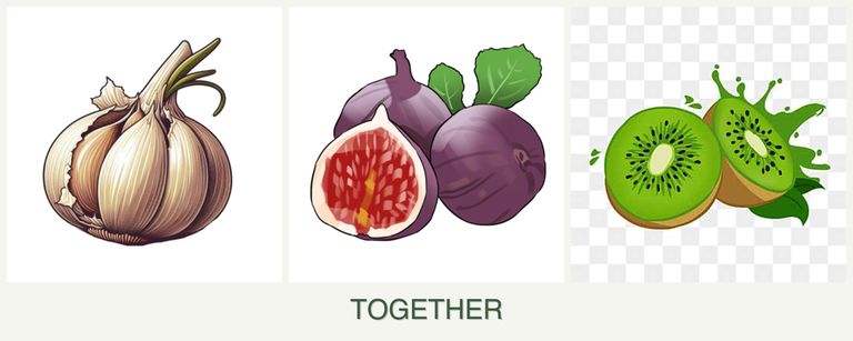 Can you plant garlic, figs and kiwi together?
