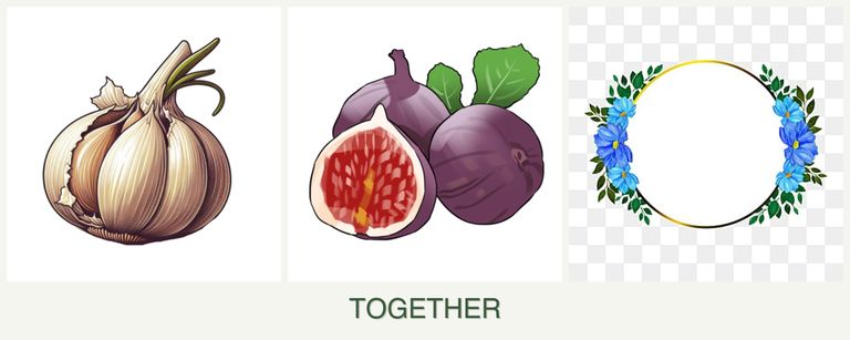 Can you plant garlic, figs and zinnias together?