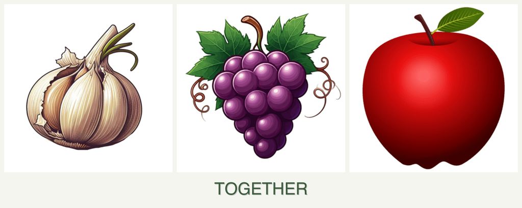 Can you plant garlic, grapes and apples together?