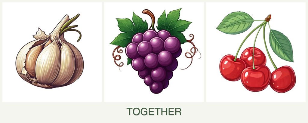 Can you plant garlic, grapes and cherries together?