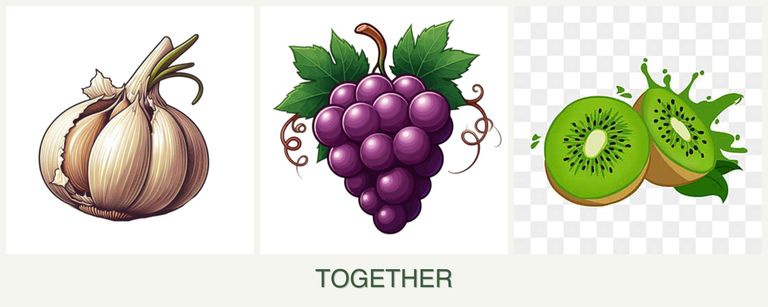 Can you plant garlic, grapes and kiwi together?