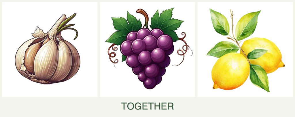 Can you plant garlic, grapes and lemons together?