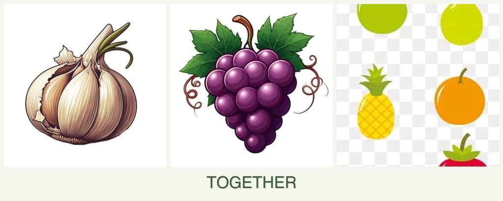 Can you plant garlic, grapes and pears together?