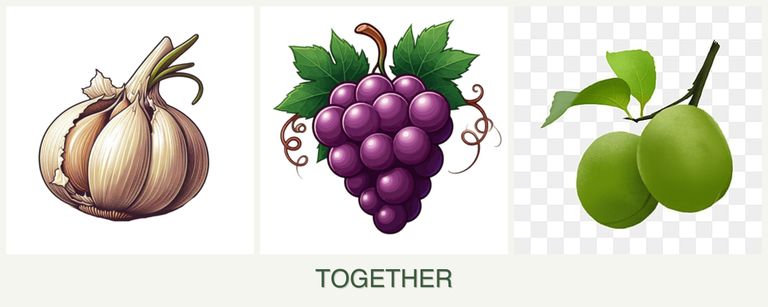Can you plant garlic, grapes and plums together?