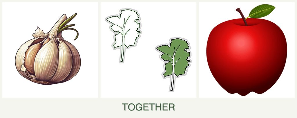 Can you plant garlic, kale and apples together?