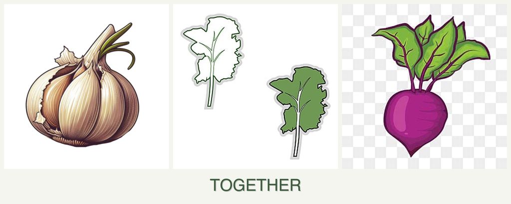 Can you plant garlic, kale and beets together?