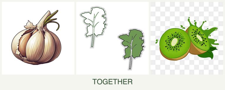 Can you plant garlic, kale and kiwi together?