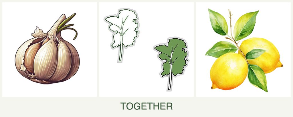 Can you plant garlic, kale and lemons together?