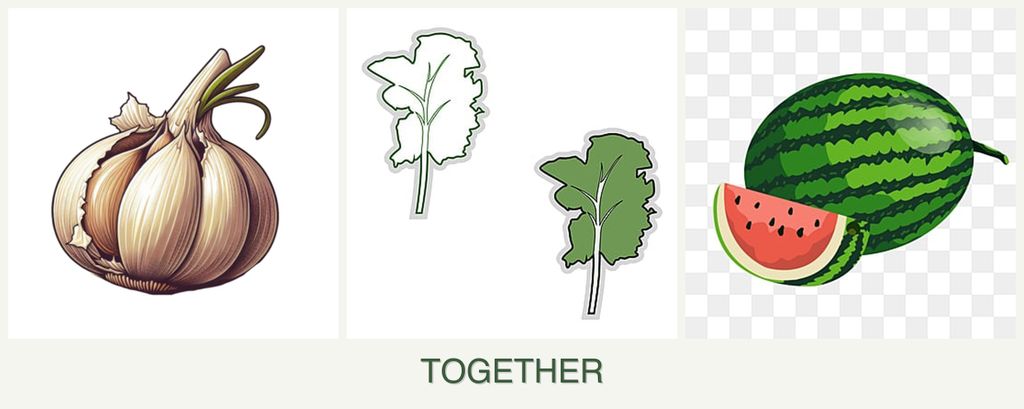 Can you plant garlic, kale and melons together?