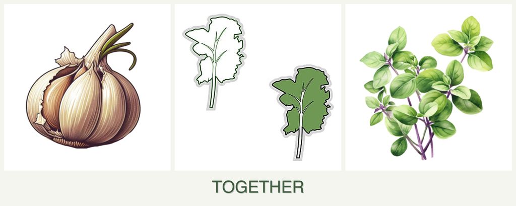 Can you plant garlic, kale and oregano together?