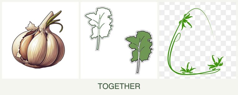 Can you plant garlic, kale and tarragon together?