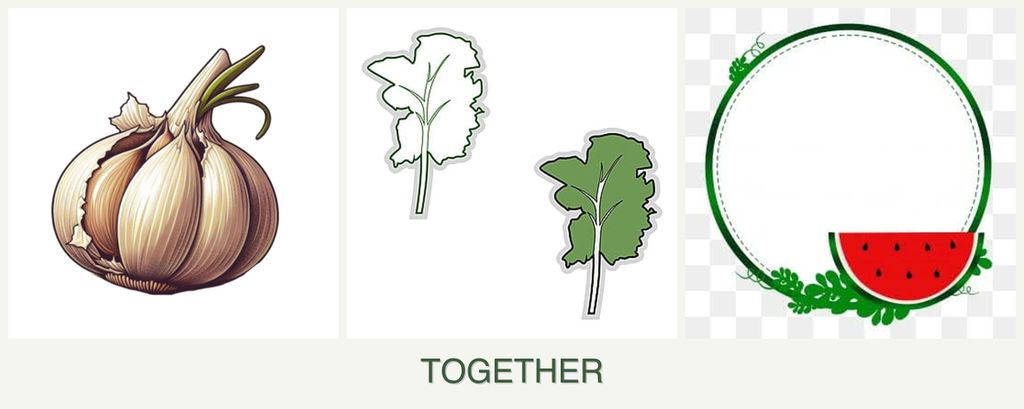 Can you plant garlic, kale and watermelons together?