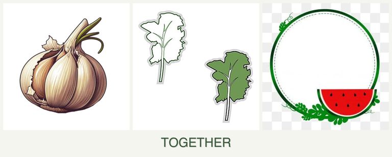 Can you plant garlic, kale and watermelons together?