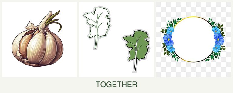 Can you plant garlic, kale and zinnias together?