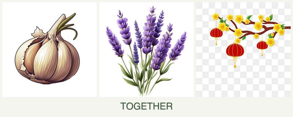 Can you plant garlic, lavender and apricots together?
