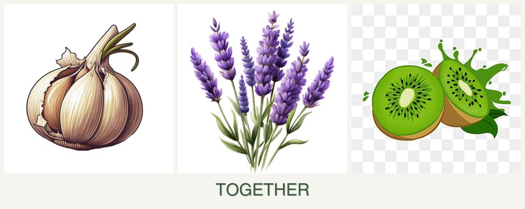 Can you plant garlic, lavender and kiwi together?