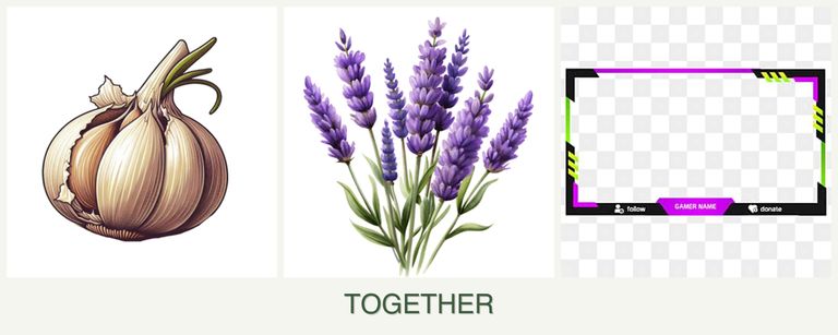 Can you plant garlic, lavender and limes together?