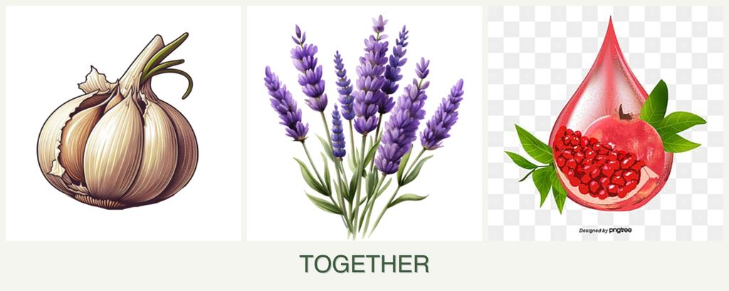 Can you plant garlic, lavender and pomegranates together?