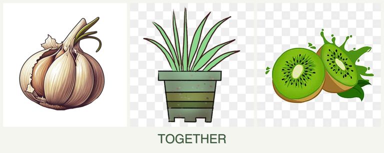 Can you plant garlic, lemongrass and kiwi together?