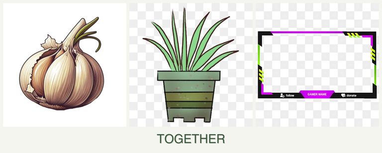 Can you plant garlic, lemongrass and limes together?