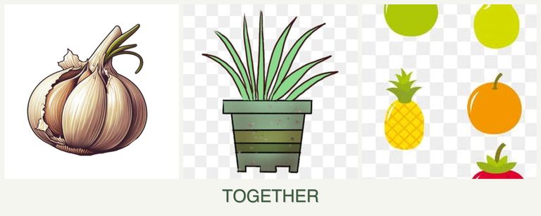 Can you plant garlic, lemongrass and pears together?