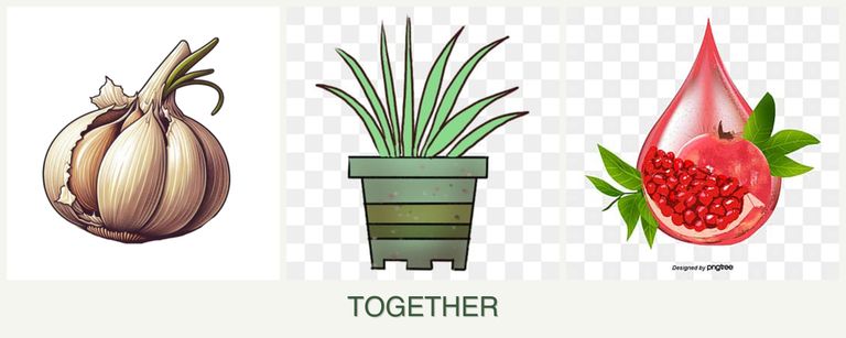 Can you plant garlic, lemongrass and pomegranates together?