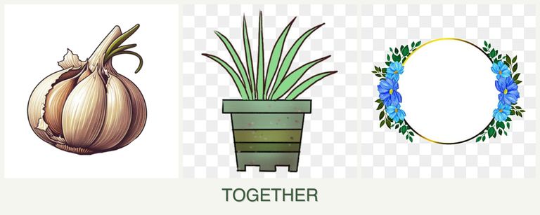 Can you plant garlic, lemongrass and zinnias together?