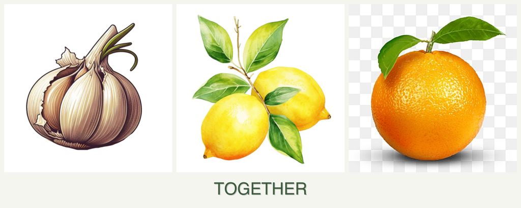 Can you plant garlic, lemons and oranges together?