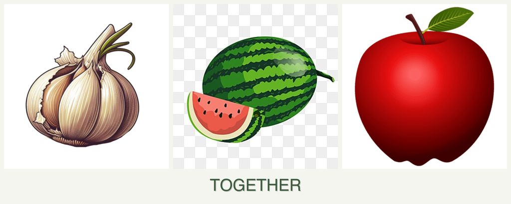 Can you plant garlic, melons and apples together?