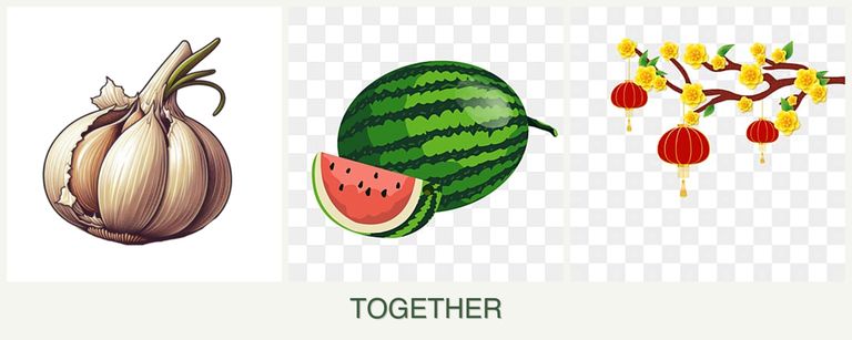 Can you plant garlic, melons and apricots together?