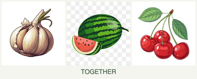 Can you plant garlic, melons and cherries together?