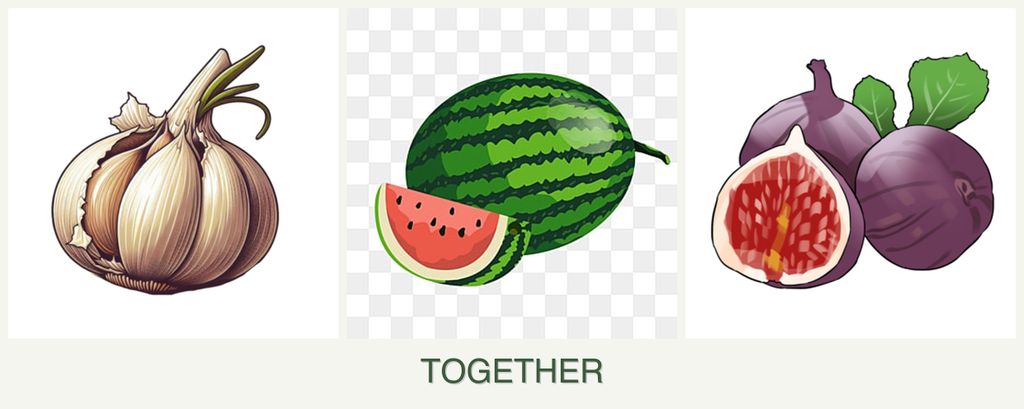 Can you plant garlic, melons and figs together?