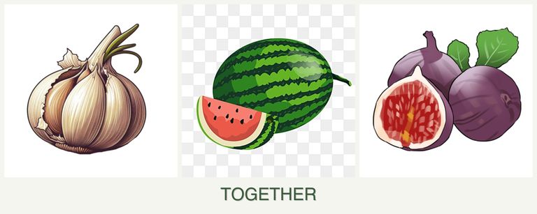 Can you plant garlic, melons and figs together?