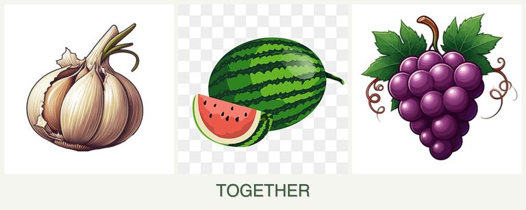 Can you plant garlic, melons and grapes together?