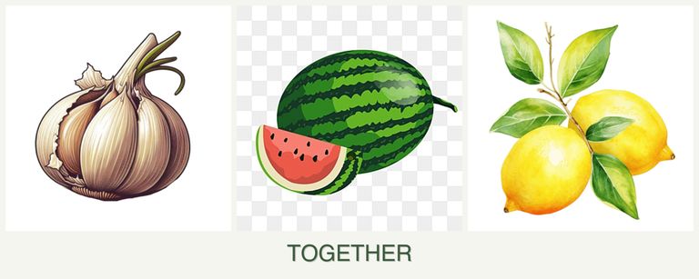 Can you plant garlic, melons and lemons together?