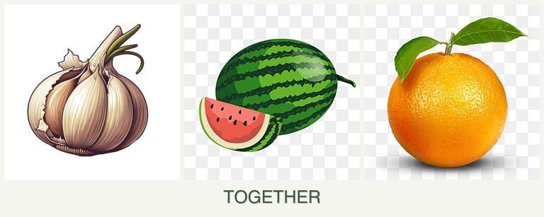 Can you plant garlic, melons and oranges together?