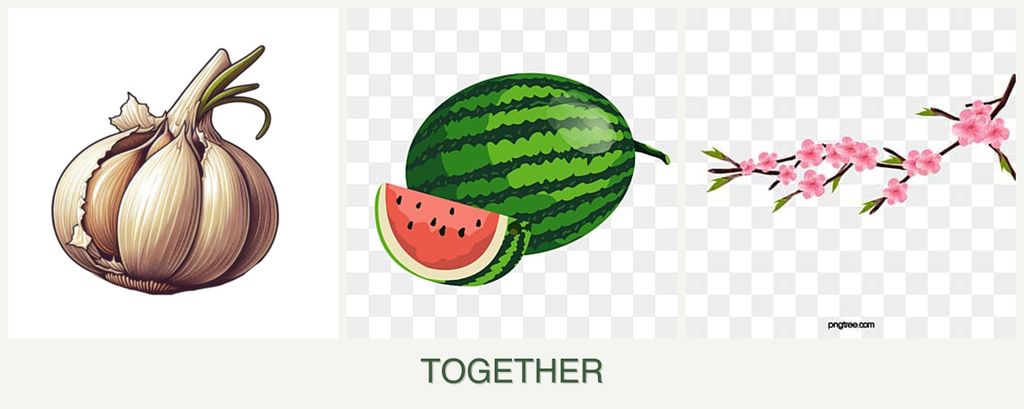 Can you plant garlic, melons and peaches together?