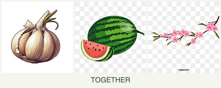 Can you plant garlic, melons and peaches together?