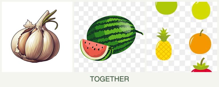 Can you plant garlic, melons and pears together?